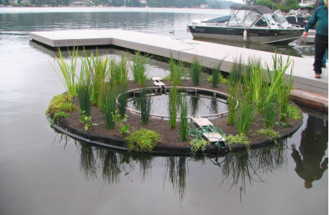 太陽能推流爆氣設(shè)備