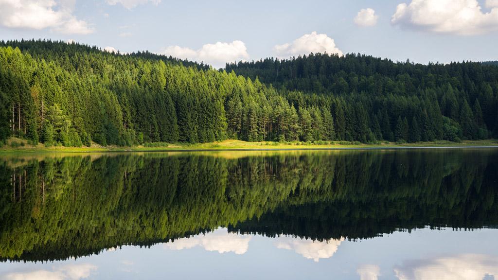 常用水生生態(tài)環(huán)境質量改善工程探析