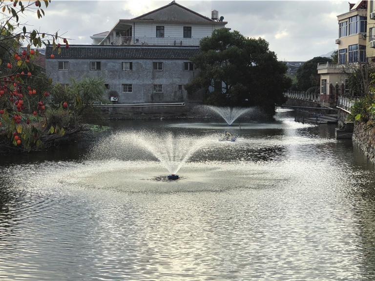 “河水清澈了，環境也變好了” 院橋開展河道生態修復顯成效