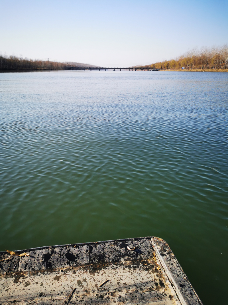 豐縣復新河水生態修復工程