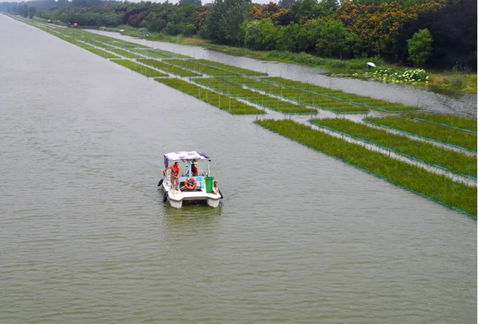 上傳圖片2.png 上傳圖片2.png